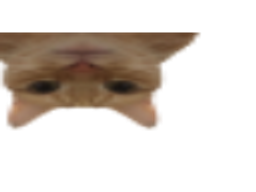 :chatmalcadre: