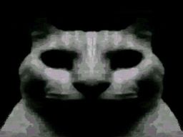 :chat_obscur: