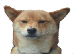 :chien_blase: