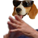 :ChienMain: