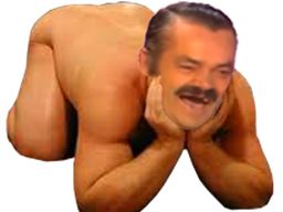:Risitas_est_ready:
