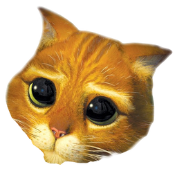 :ChatPotte: