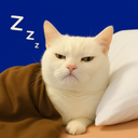 :dodochatreveille: :dodochatreveille: