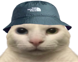 :Chat_bob_vnr: