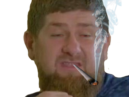 :kadyrov_fume: