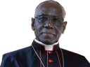 :cardinal_sarah2: