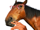 :cheval_lunettes: