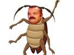 :cafard_risitas: