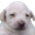 Photo de profil de Todd