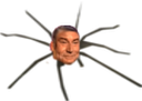 :jesus_araignee: