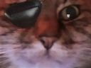 :4etariPtahC: