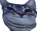 :cs_mignon: