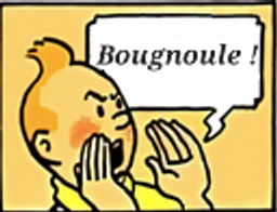 :tintinbougnoule: