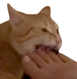 :panard: