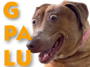 :teddigpalu: