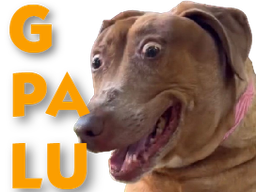 :teddigpalu: