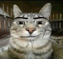 :chat_boblox: