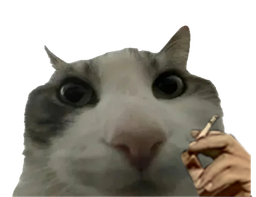 :Pouet_cigarette: