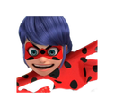 :ladybug_ravagee: