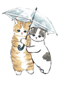 :chatparapluie: