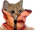 :sodium_deguisement: