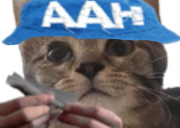 :Chat_AAH_2:
