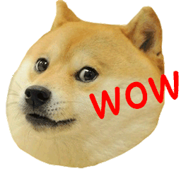 :chien_wow: