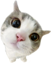 :Maou: