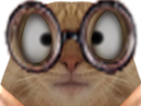 :chat_louche_: