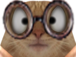 :chat_louche_: