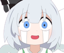 :youmu_pleur:
