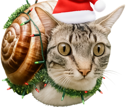 :escargochat_HOHOHO: