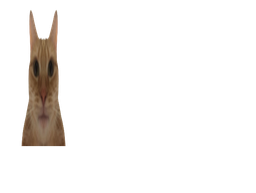 :chatmalcadre2: