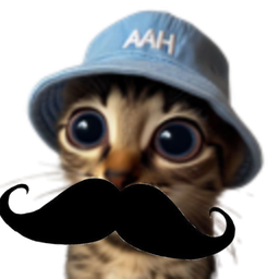 :Chat_moustache: