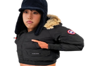 :Rohyoonseo_canada_goose: