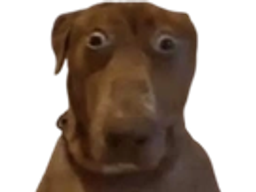 :Teddi: