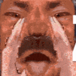 :Zozo_crier: