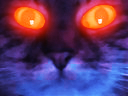 :Malefique: