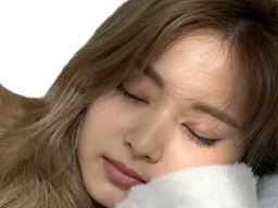 :tzuyusleep: