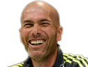 :Zidane: