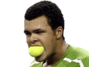 :tsonga_2: