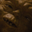 Photo de profil de SalePetiteP