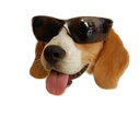 :golemvelolaser: