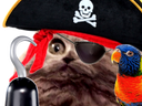 :chat_pirate:
