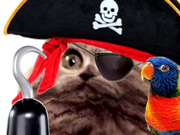 :chat_pirate: