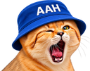 :Chat_desert_aah: