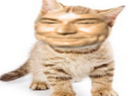 :chasus: