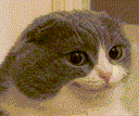 :Melvin: