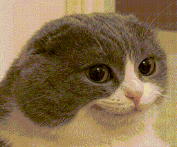 :Melvin: