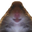 Photo de profil de Hamster